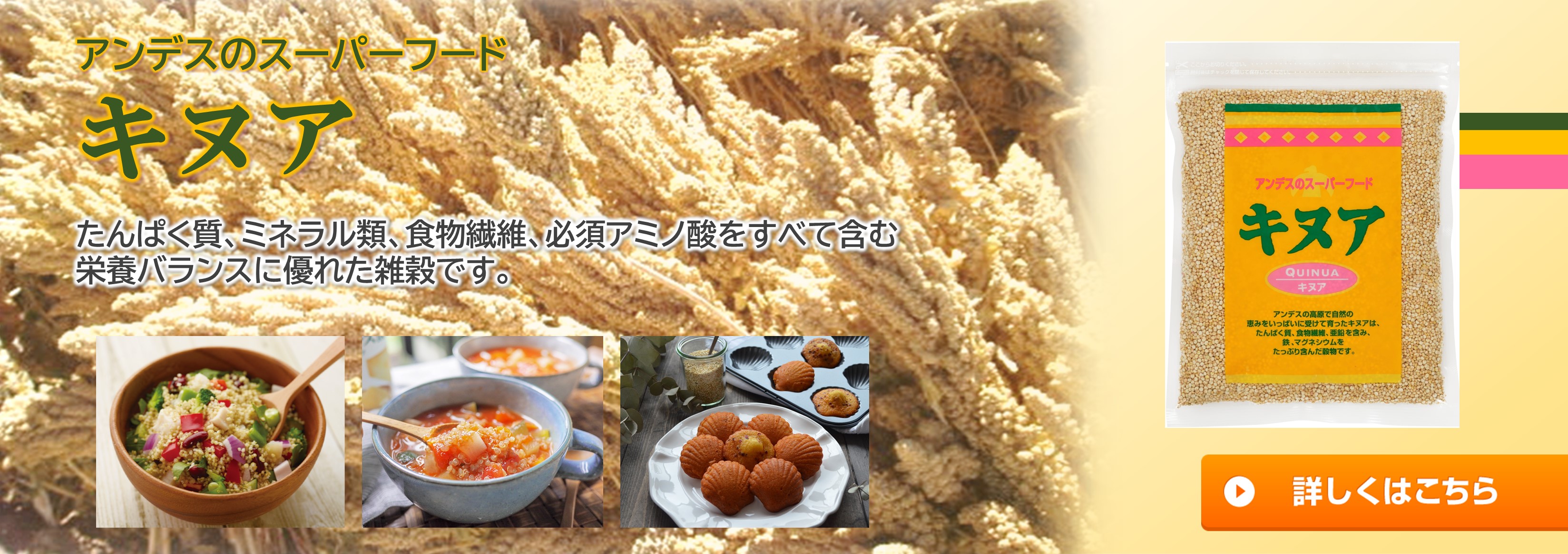 アンデスのスーパー穀物キヌア。栄養バランスの優れた穀物です。詳しくはこちら。